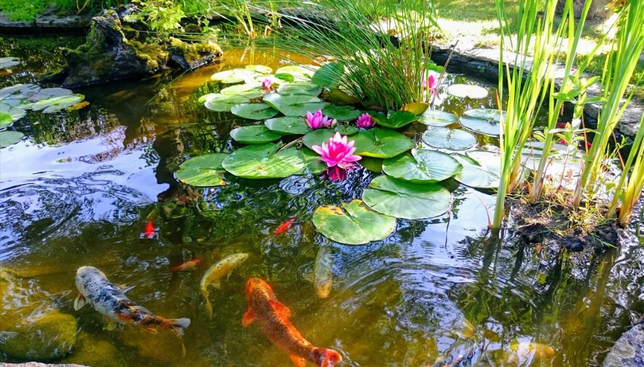 Gite Pause Au Jardin Saint-Branchs Exteriér fotografie