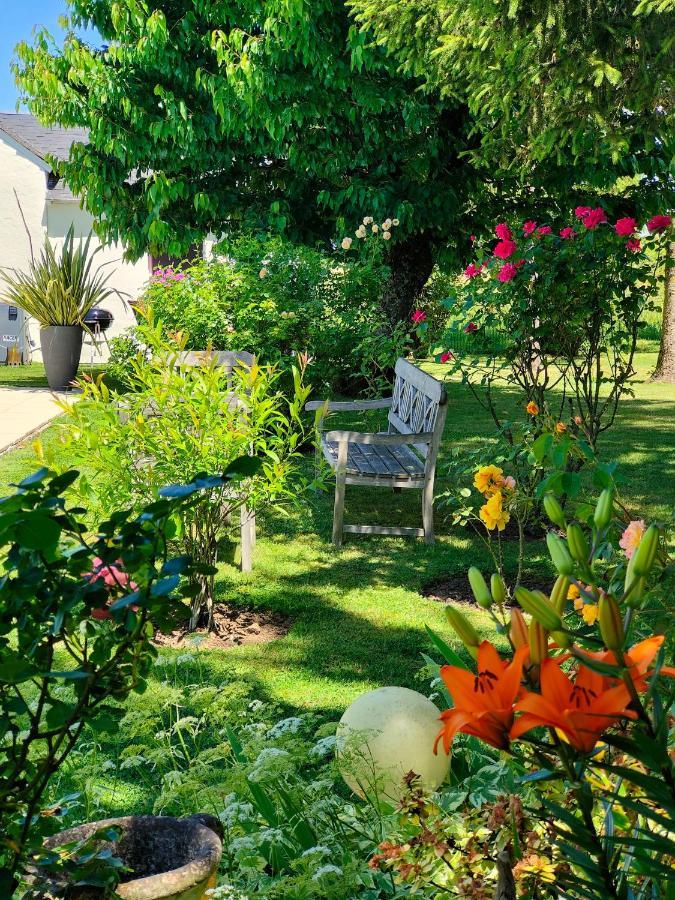Gite Pause Au Jardin Saint-Branchs Exteriér fotografie